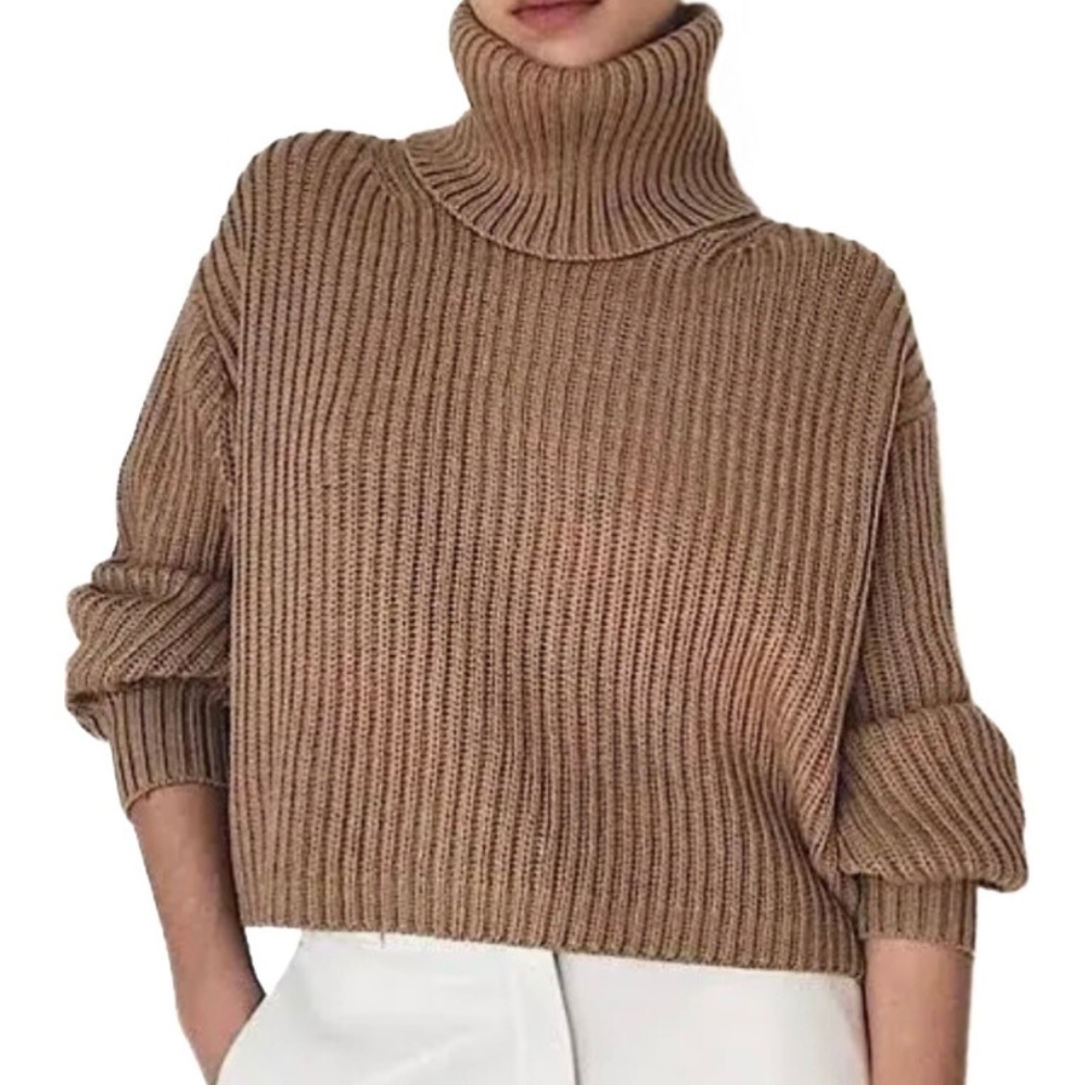 Babaton | Aritzia Brown Merino Wool Guell LongSleeve Turtleneck Sweater Size S
